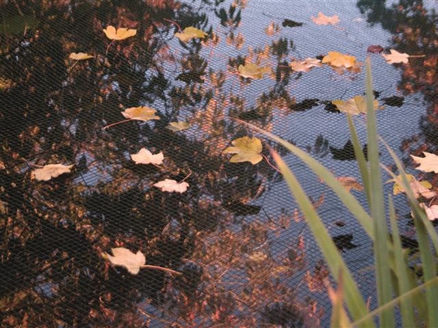 Teichnetz - Teich vor herabfallendem Laub schützen Teichnetz - Teich vor herabfallendem Laub schützen